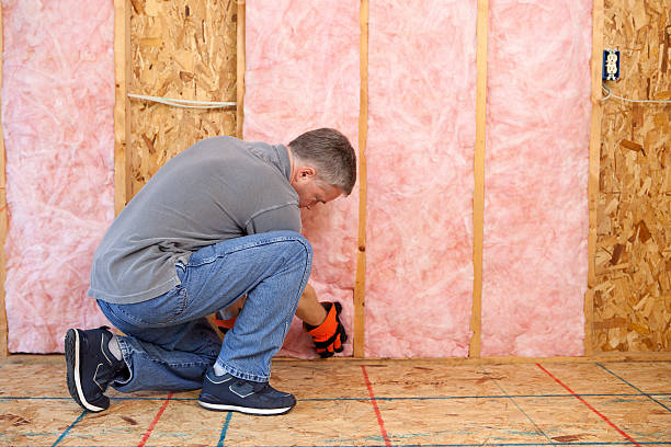 Best DIY Insulation Kits and Guidance in Coldspring, TX